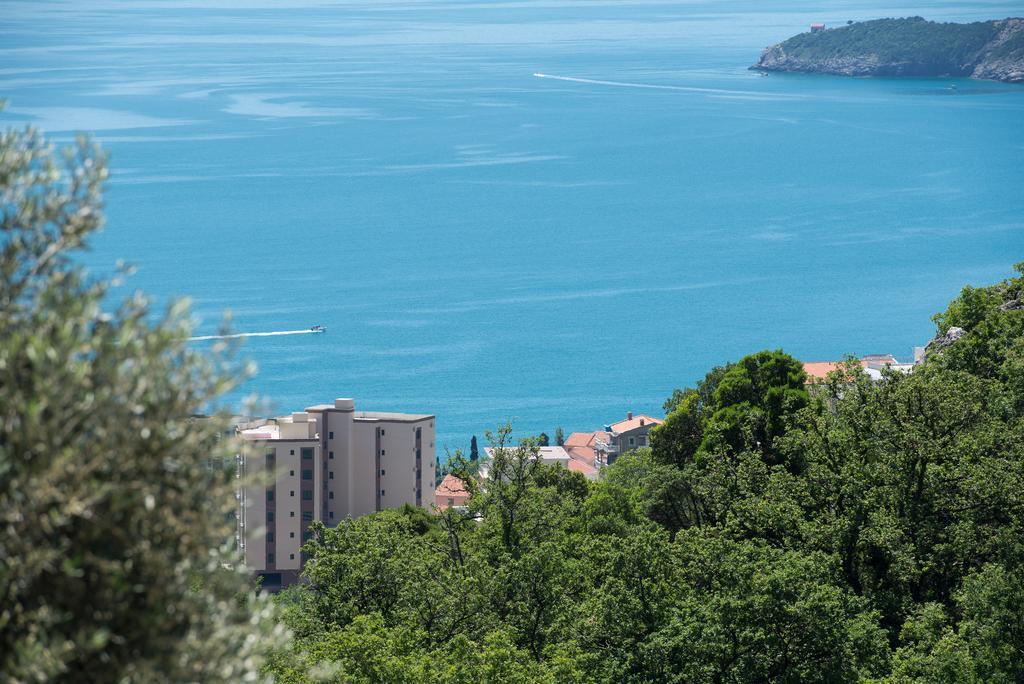 Villa Old Olive 2 Budva Ngoại thất bức ảnh